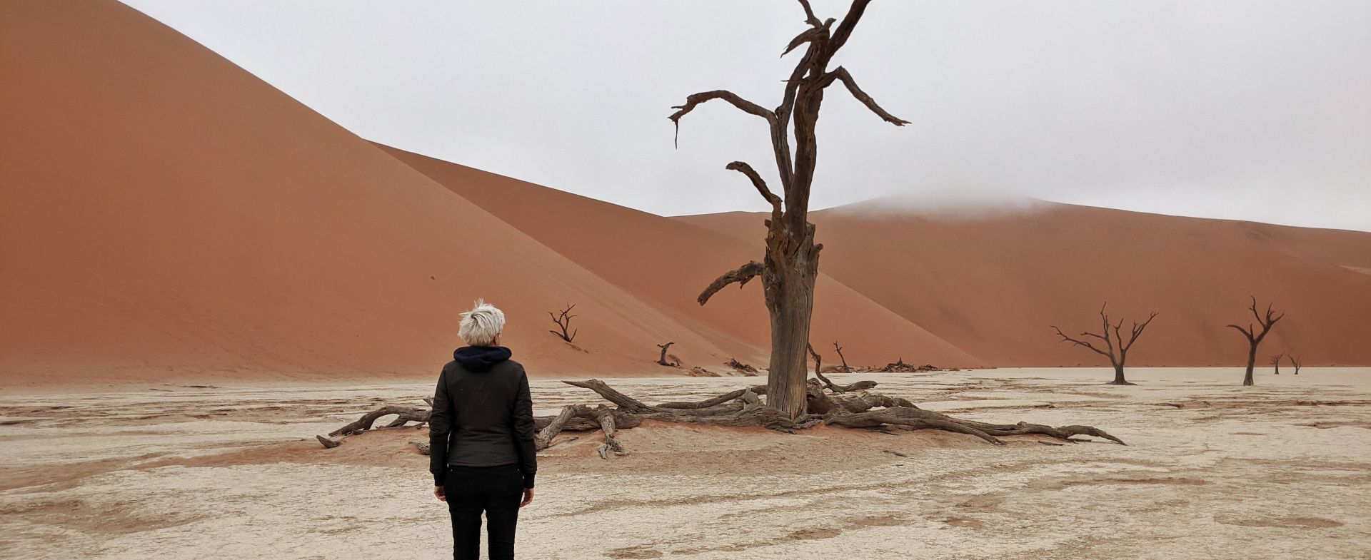  Sossusvlei / Namib-Naukluft National Park / Namibia