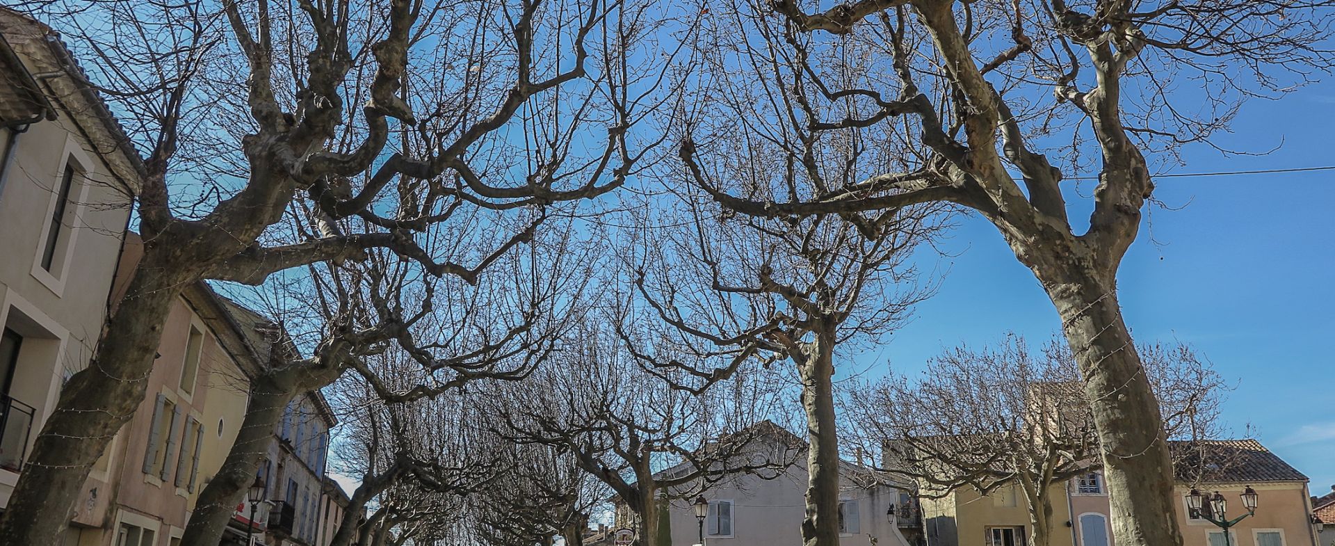 Ste Cécile - Mirabel