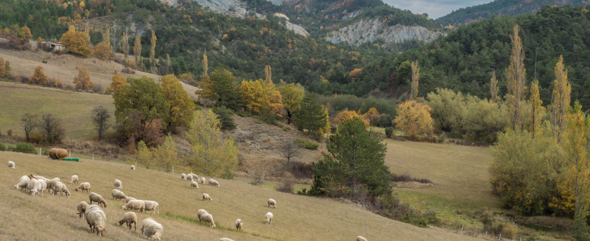 Col de Pré Guittard