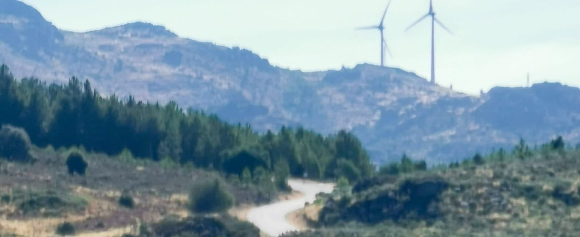 Vide - n338 to Serra Estrela