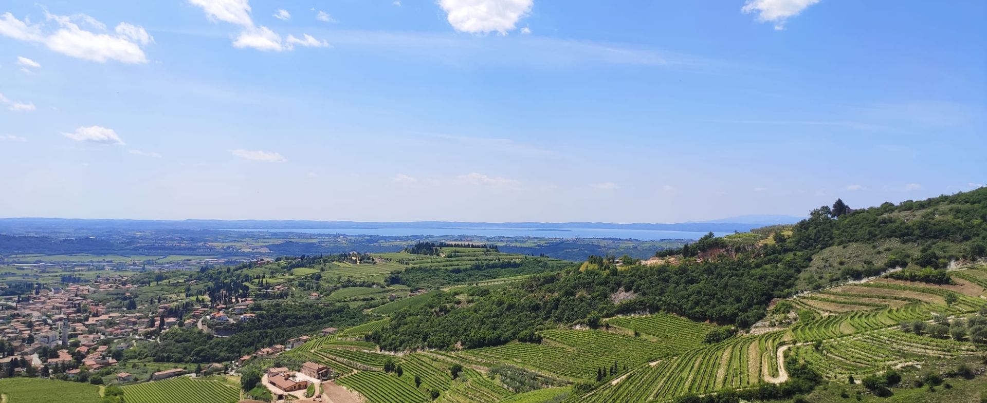 Cavalo - San Giorgio di Valpolicella