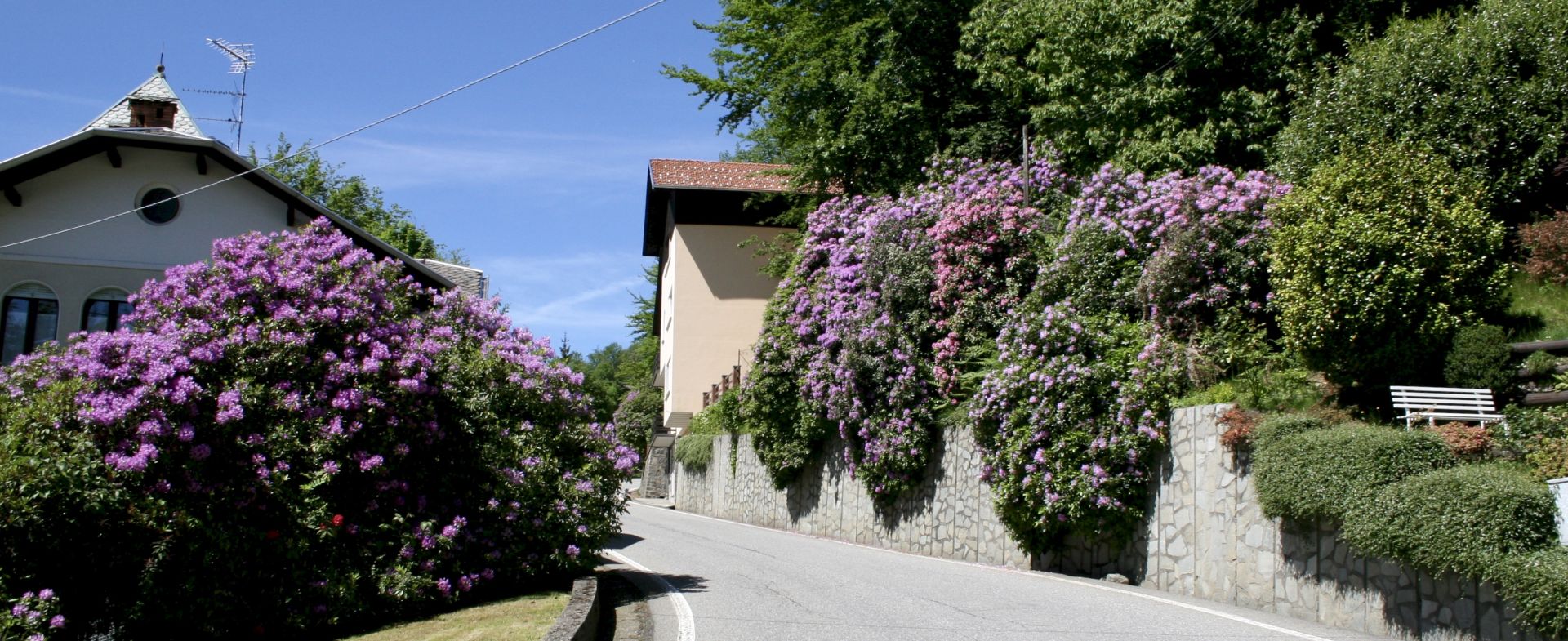  SP232 Zegna , SP299 Sesia valley, SP78 Colma Pass-Omegna  68,8 Km