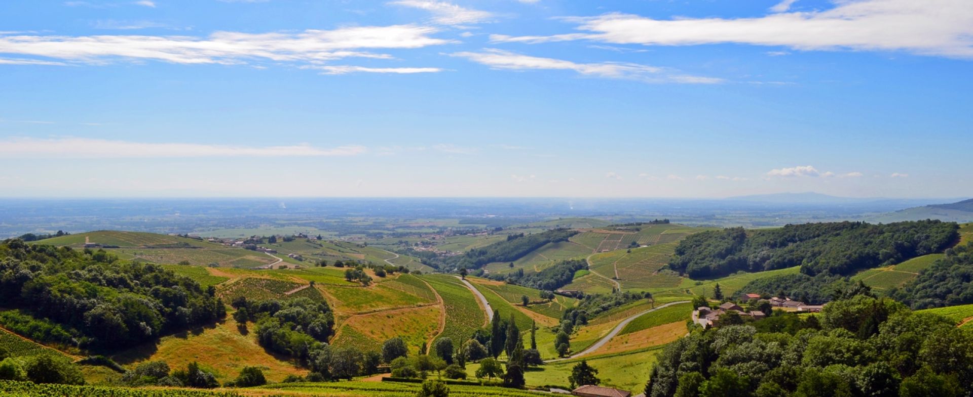 Cols en beaujolais