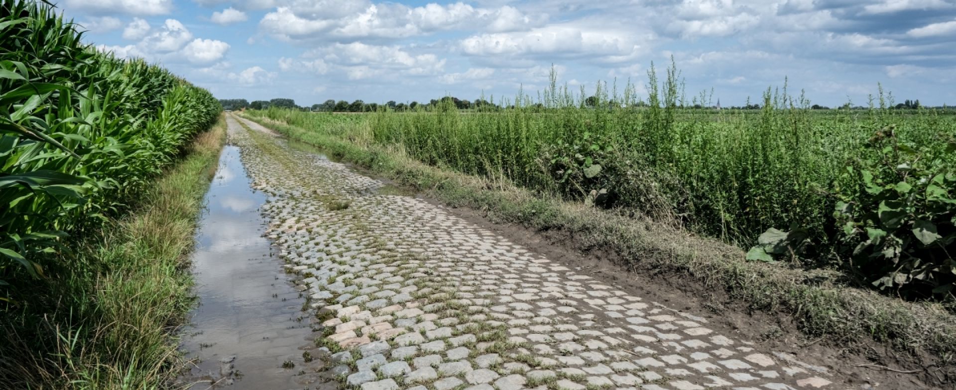 D158B Beuvry-la-Forêt, Hauts-de-France