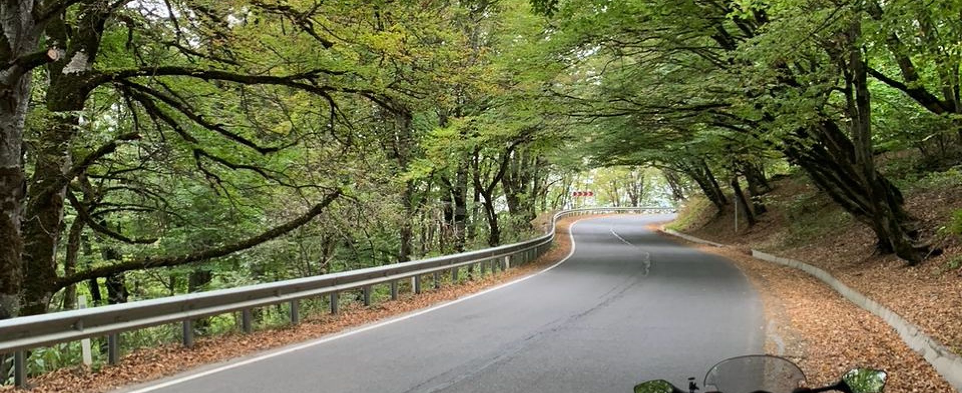 Sabaduri Forest