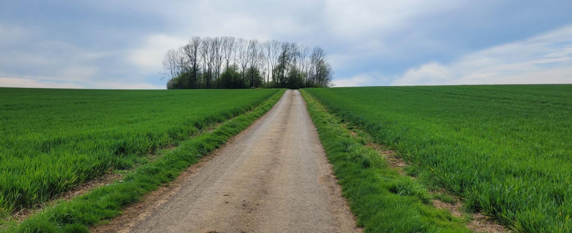 Chemin du Pérot