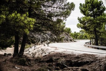 A397, El Madrona - Ronda