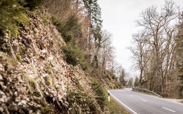 331