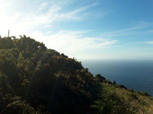 DP2205, Carino - Cedeira