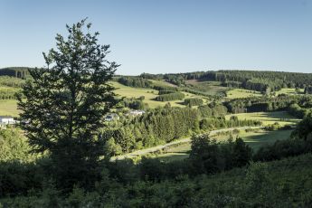 N865, Dohan - Mortehan