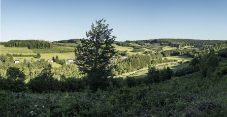 N865, Dohan - Mortehan