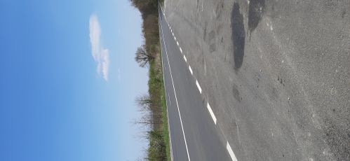 Saturday Short Ride