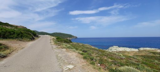 Corsica - The needle