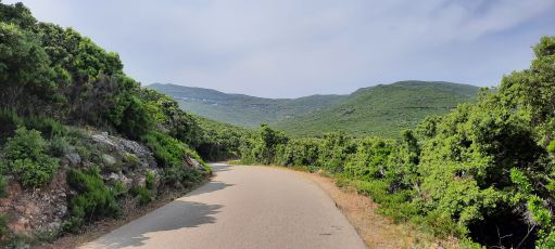 Corsica - The needle