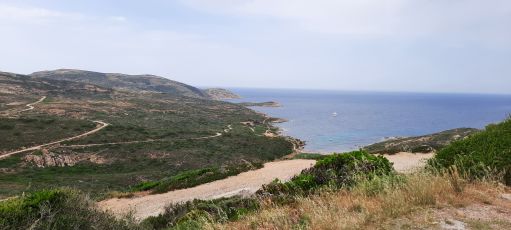 D81B \ Calvi - Galéria 