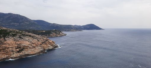 D81B \ Calvi - Galéria 
