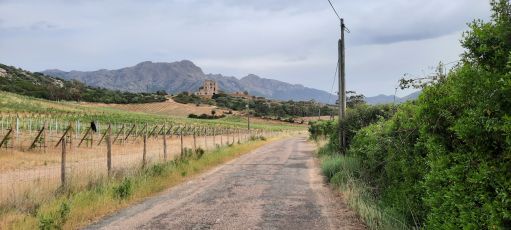 D81B \ Calvi - Galéria 