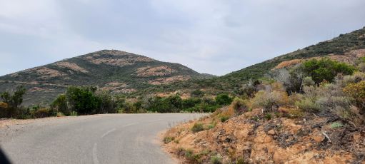 D81B \ Calvi - Galéria 
