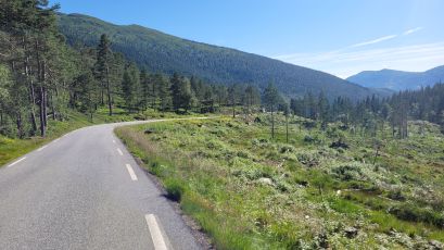 Ulvik - Granvin, road 572