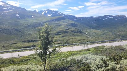 55, Sognefjellet Road