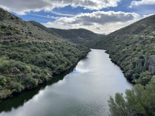 N222 - Douro, Portugal