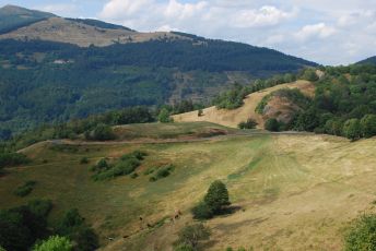 Uffholtz > Grand Ballon