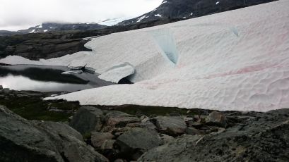 55, Sognefjellet Road