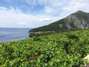 414, Loviste - Ston
