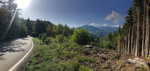SP27-324, Ceregato - Pievepelago
