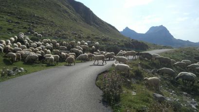 Through the Durmitor