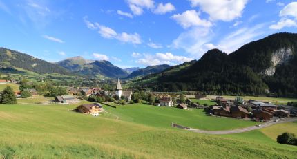 11 - Zweisimmen 