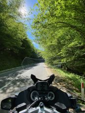 Fun curvy turns and forest views