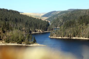Llyn Brianne to Tregaron