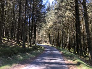 Llyn Brianne to Tregaron