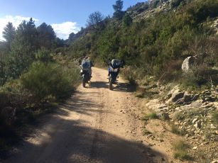 Strada delle farfalle