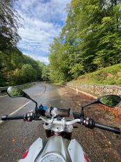 Fun curvy turns and forest views