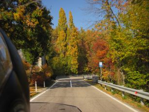 Passo delle Radici