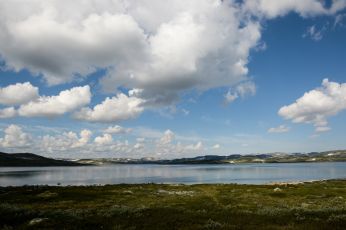 7.Hardangervidda