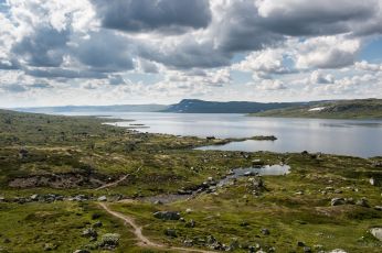 7.Hardangervidda