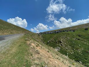 Hatila Valley