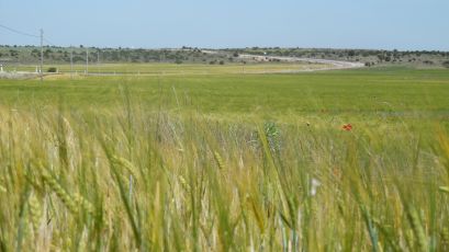 N420 - Torre Baja - Cuenca