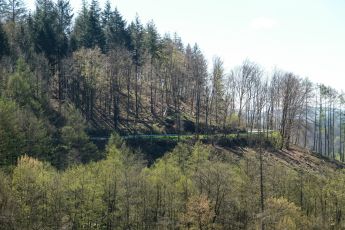 Freudenberg-Wildberhütte