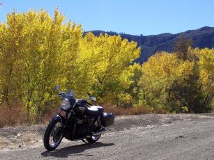 Hwy 33, California