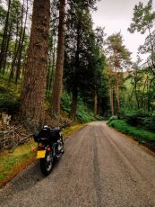 Elan Valley (Nat Cycle Rte 81)