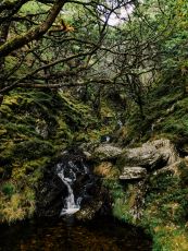Elan Valley (Nat Cycle Rte 81)
