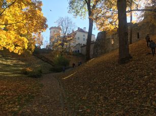 Cesis castle