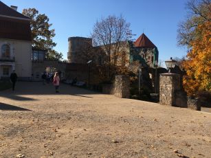 Cesis castle