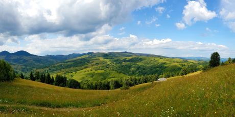Mogosului Valley