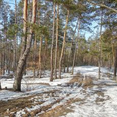 Puscha Vodytca Park