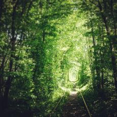 Tunnel of Love
